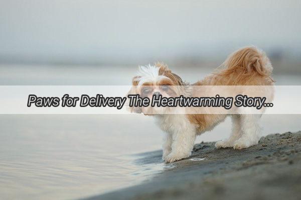 Paws for Delivery The Heartwarming Story of a Delivery Guy Who Feeds Furry Friends